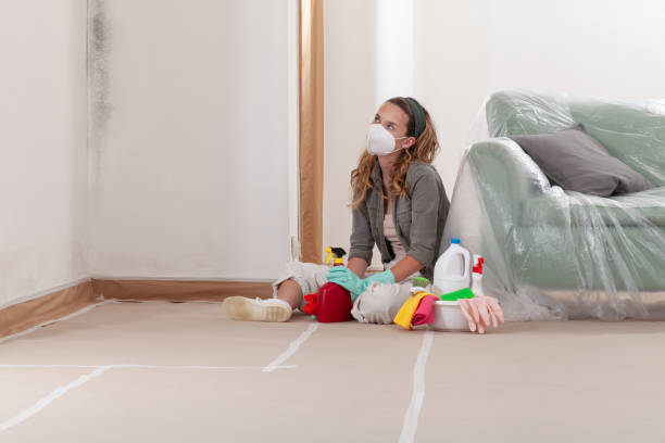 Reliable Commercial Mold Remediation contractor in Seaford, NY by WQB Mold Removal